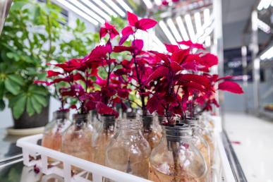 7e63f407aq0cf37035f00e238b0e3df6