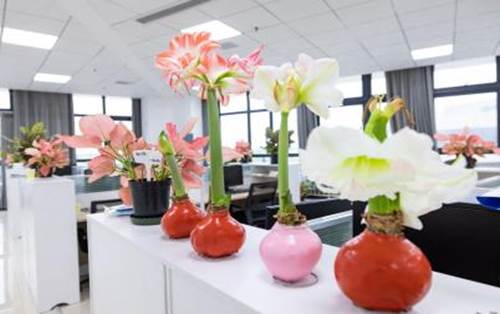 898d1b206p2a7352bf7a7502083f3a88