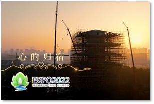 屏幕快照 2022-03-13 08.08.26