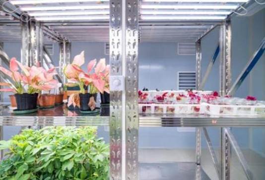 d8269b1a1g7a383453d1d91261a65dd2