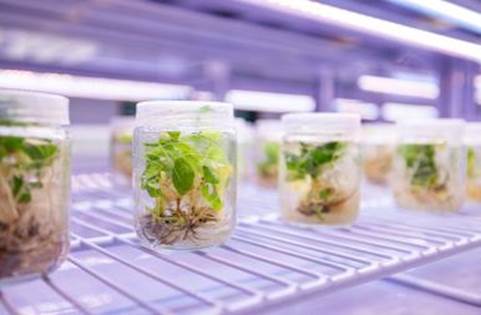 ef77d0f36r2138a6171df15234f9870d