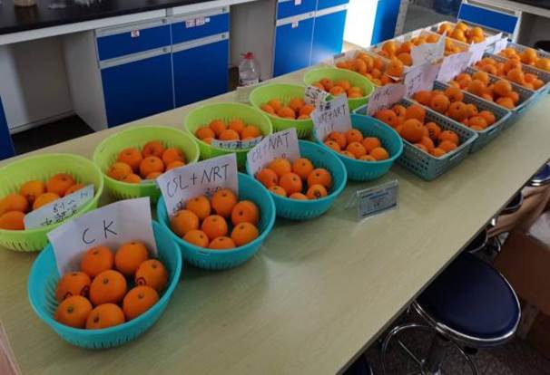 40da0c2eaf988d6f0acd6150a016d42