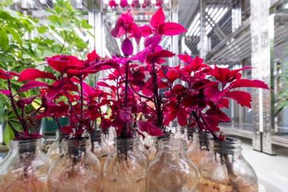 310c095a7o78a13b1d007f436229b9ad