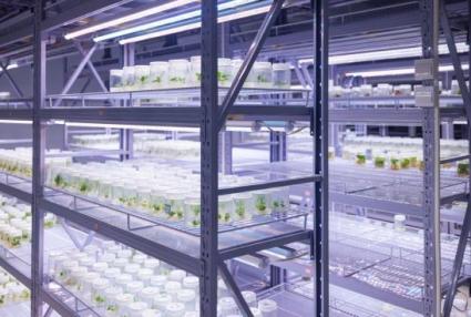 99740f122s2b815b9dfe2381a7d1c33e